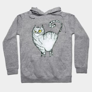 Grey curvy proud cat with stripes Hoodie